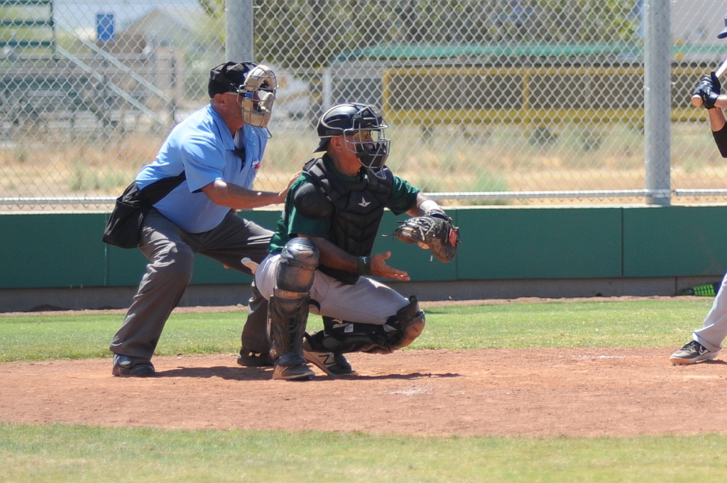 Seals_2019-08-25 (268).JPG - (c)2010 DeVetter